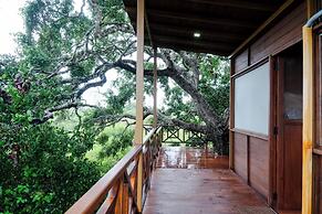 Leopard Nest in Yala