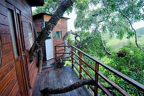 Leopard Nest in Yala