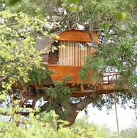 Leopard Nest in Yala