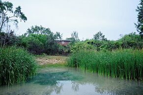 Leopard Nest in Yala
