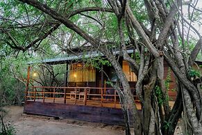 Leopard Nest in Yala