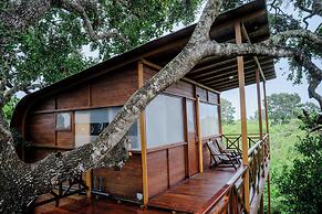 Leopard Nest in Yala