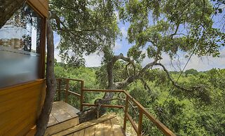 Leopard Nest in Yala