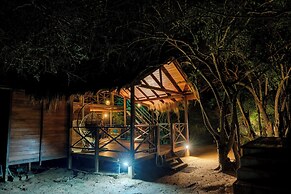 Leopard Nest in Yala