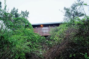 Leopard Nest in Yala