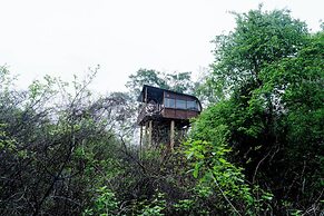 Leopard Nest in Yala