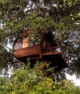 Leopard Nest in Yala
