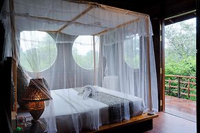 Leopard Nest in Yala
