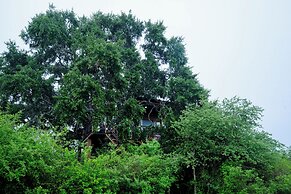 Leopard Nest in Yala