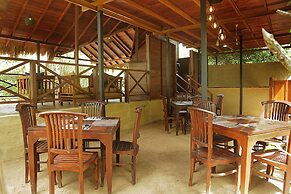 Leopard Nest in Yala