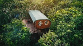 Leopard Nest in Yala