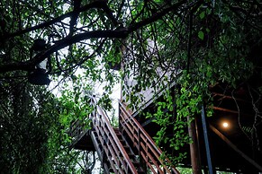 Leopard Nest in Yala