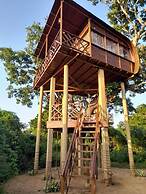 Leopard Nest in Yala