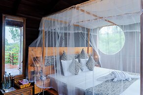 Leopard Nest in Yala