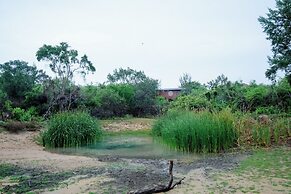 Leopard Nest in Yala
