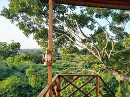 Leopard Nest in Yala