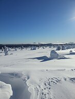Seita Cabins