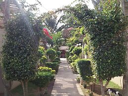Liv Inn Guest House