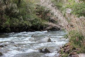 Lodge Palguin Alto