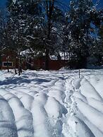 Lodge Palguin Alto
