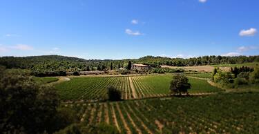 Domaine de Palatz
