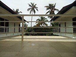 The Ivy Anjuna