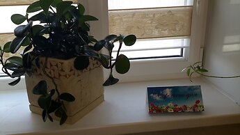 Guest House Avrora