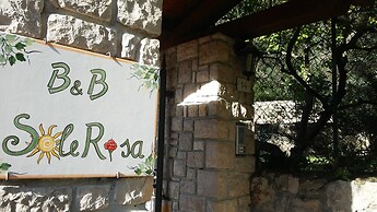 Solerosa