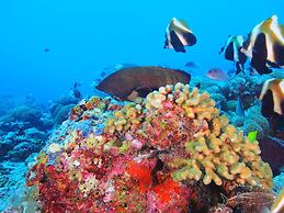 White Sand Dhigurah