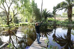 Waterland