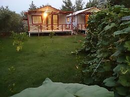 Calba Garden House