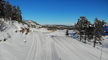 Ski Lodge & Apartments Gautefall