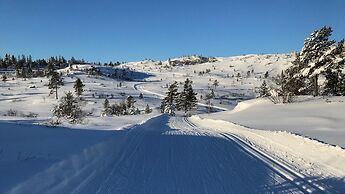 Ski Lodge & Apartments Gautefall