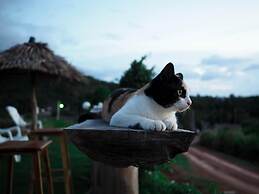 Cat Bungalow