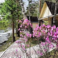 Areda Hotel