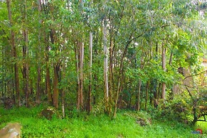 Babblers Park