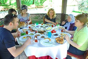 Mehves Hanim Konagi