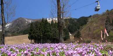 Pension COME
