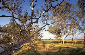 The Mitchelton Hotel Nagambie