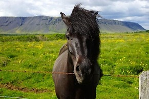 Gesthús Selfoss