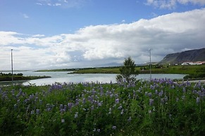 Gesthús Selfoss