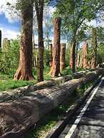 Yema Silk Road Inn