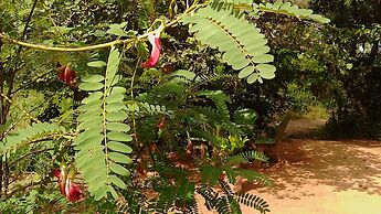 Sigiriya Vee Guest