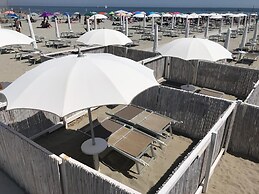 Kristalex Pet Friends Hotel