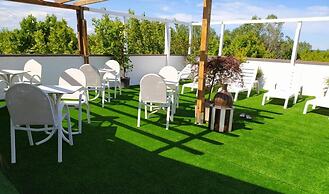 Kristalex Pet Friends Hotel