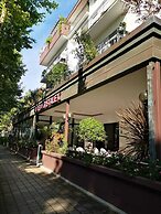 Kristalex Pet Friends Hotel