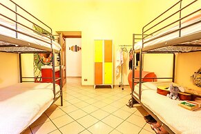 The Beehive Hostel