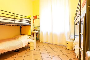 The Beehive Hostel