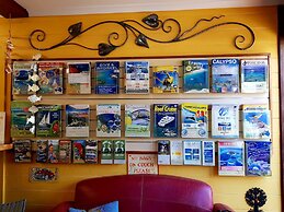 Travellers Oasis - Hostel