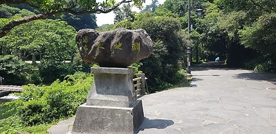 Jeju Mimong